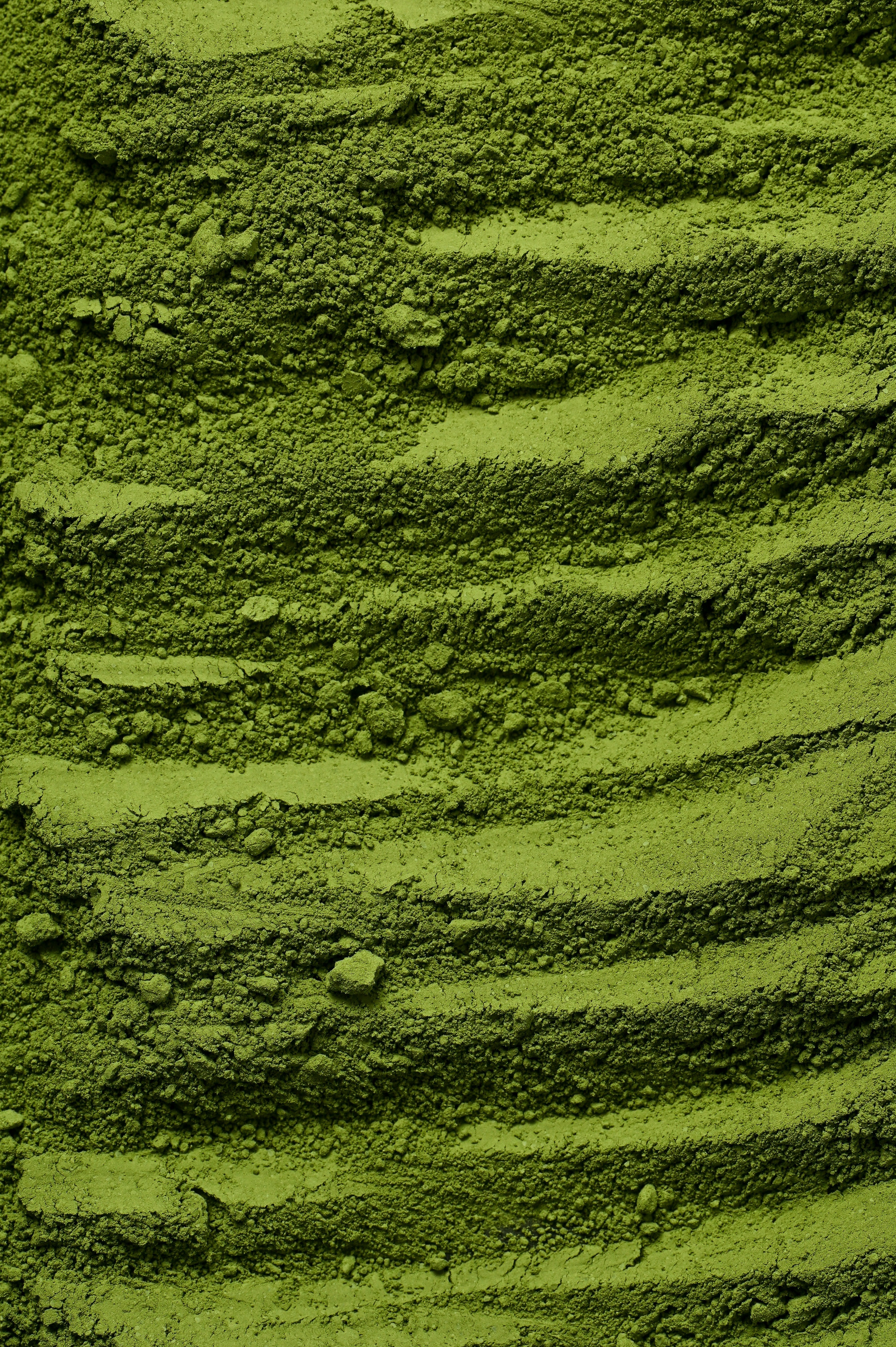 Chlorella Powder-1